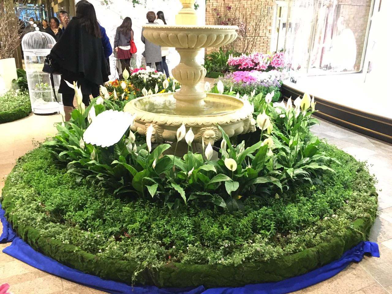 辦公室綠化裝飾的原則